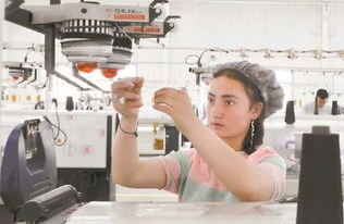 新疆生產(chǎn)建設(shè)兵團 固邊興疆，兵地富余勞動力轉(zhuǎn)型產(chǎn)業(yè)工人助力針紡織業(yè)發(fā)展